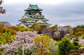 Discover Japan