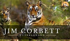 JimCorbett Tour Package