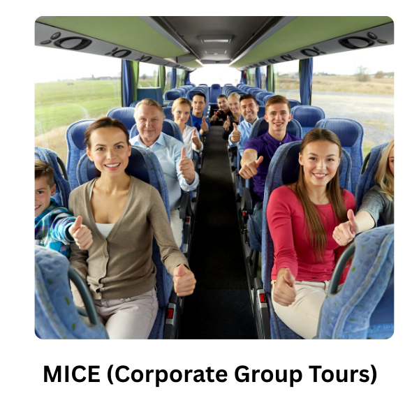 MICE