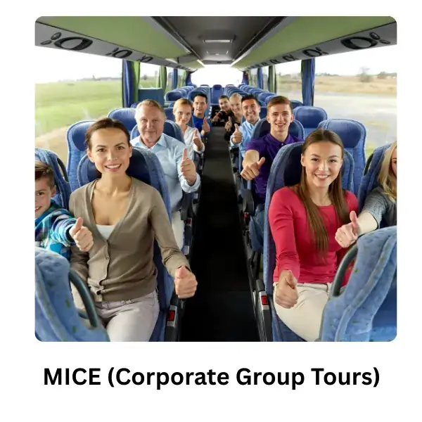 MICE