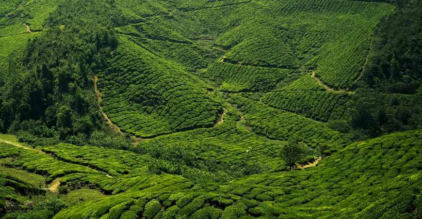 Kerala Luxury Tour Packages