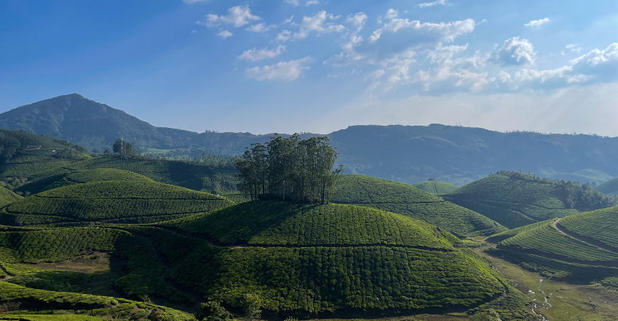 Munnar Thekkady Alleppy Kovalam 6 days