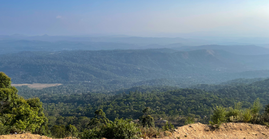 Kochi Munnar Thekkady Alleppy Kovalam