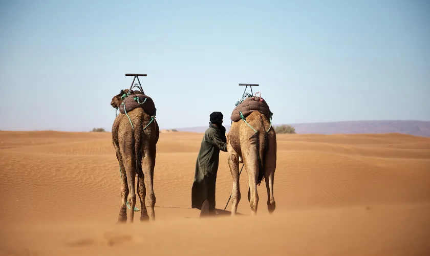 Jaisalmer Tour Package