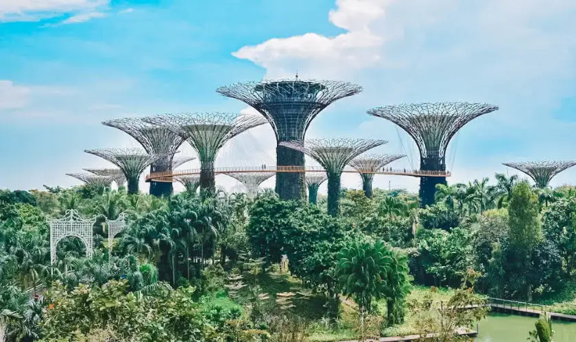 Instagrammable Singapore