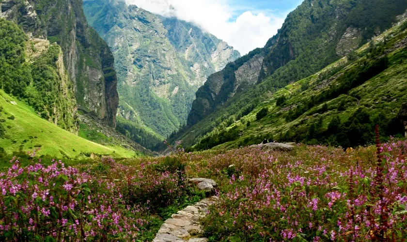 Valley Of Flowers Trip 5 days