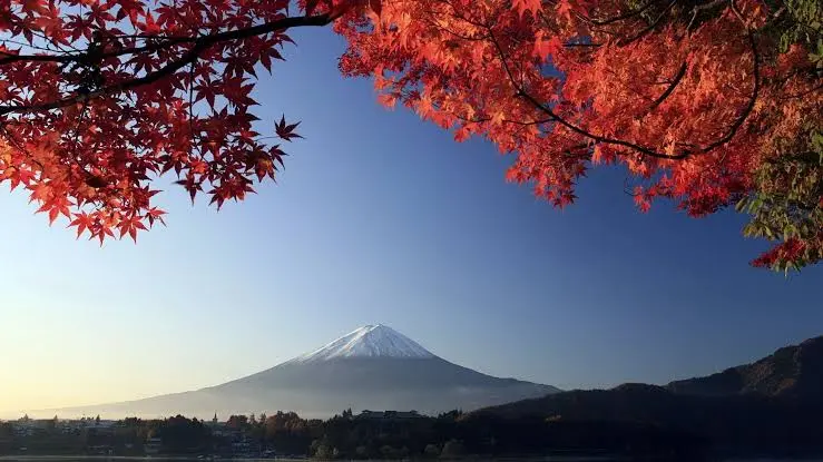 Discover Japan with Strangers – Fixed Departure Tour
